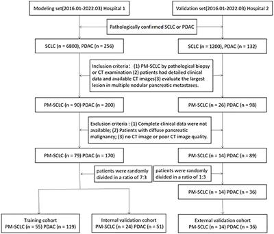 A nomogram diagnostic prediction model of pancreatic metastases of small cell lung carcinoma based on clinical characteristics, radiological features and biomarkers